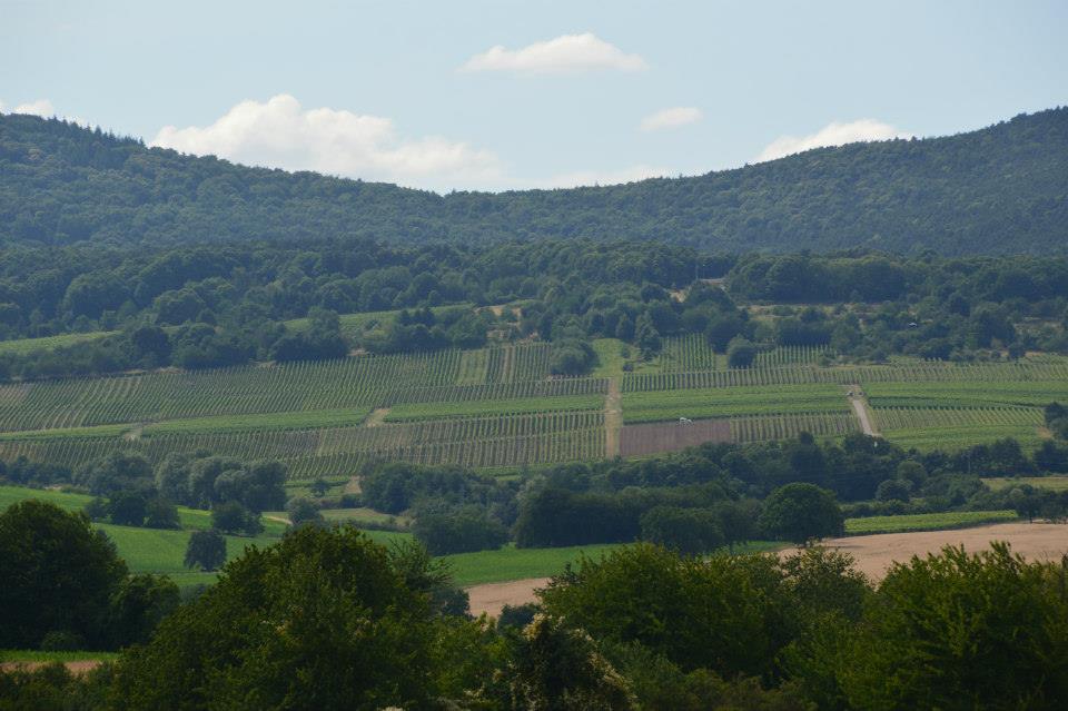 Weinberg