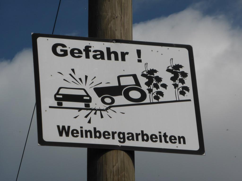 Weinbergarbeiten