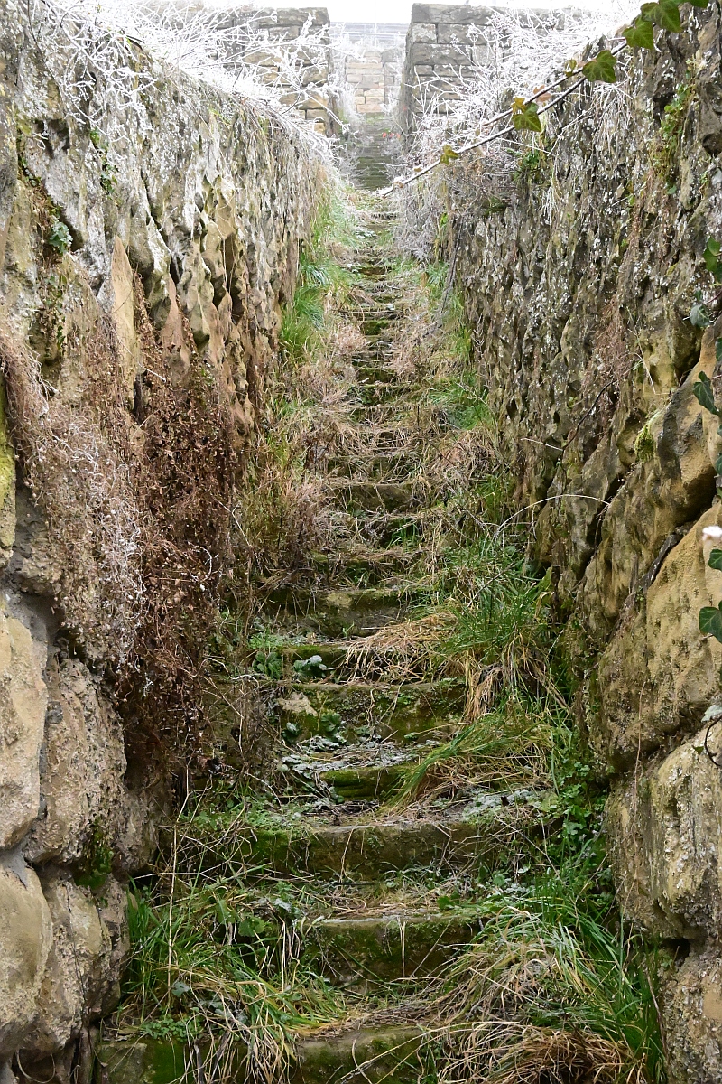 Weinbergstäffele.jpg