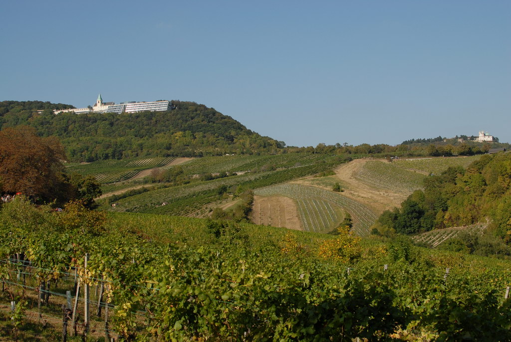 Weinwandertag 19