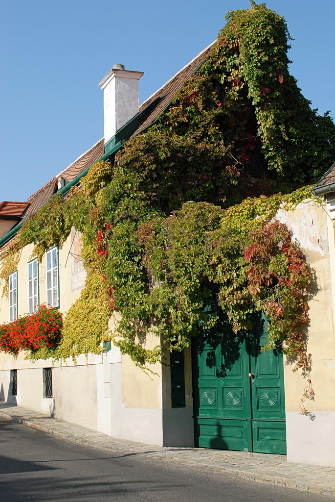 Weinwandertag 21