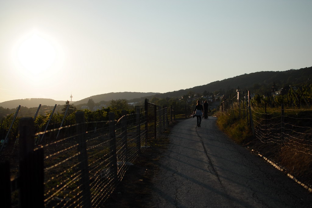 Weinwandertag 31