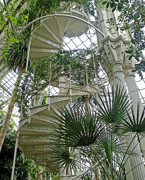 Wendeltreppe im Palmenhaus Schönbrunn