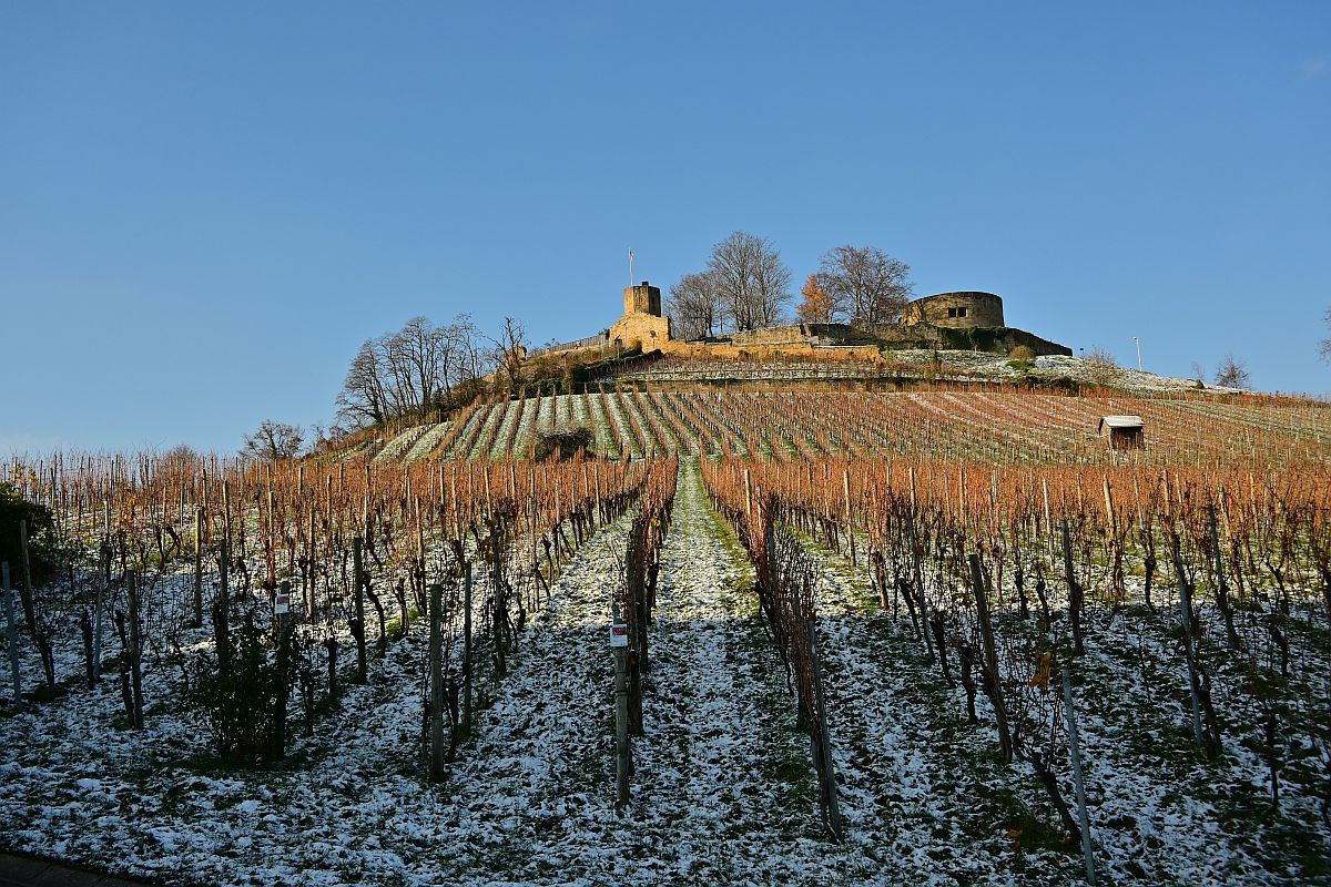 Wengert im Winterschlaf.jpg