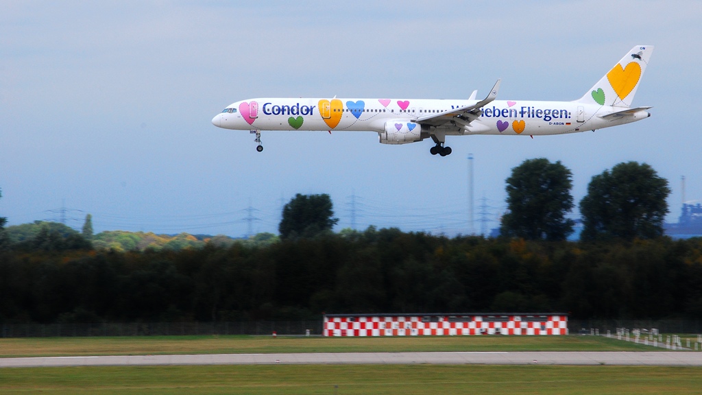 Wenn Fliegen fliegen!