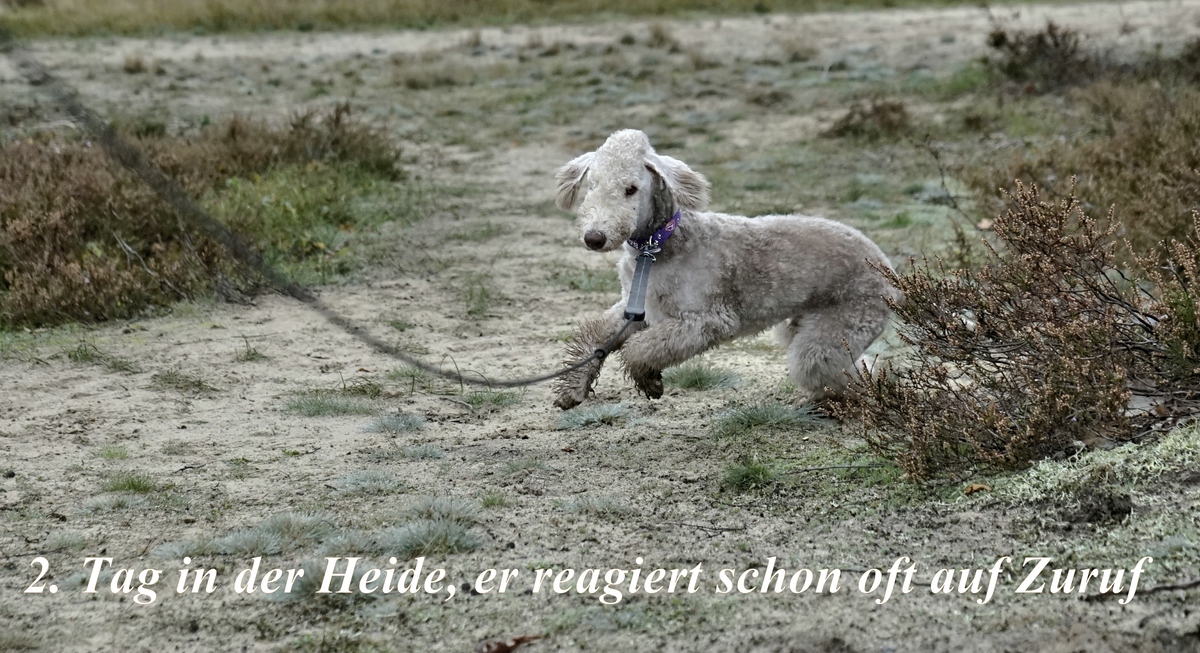 Wenn keiner da ist ....jpg