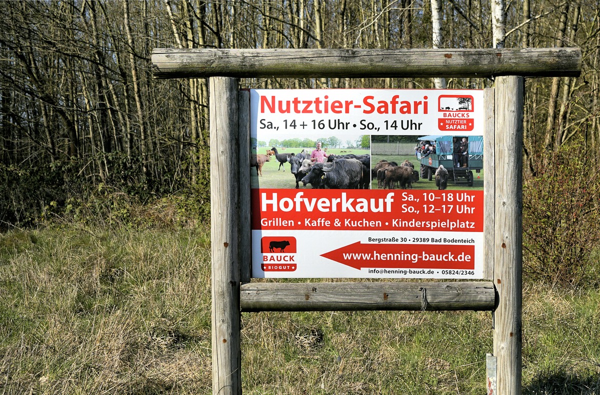 Wenn schon keine Safari dann wenigstens gucken gehen....jpg