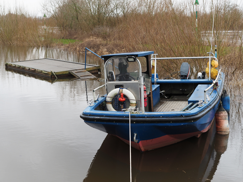 Westen Hafen.jpg