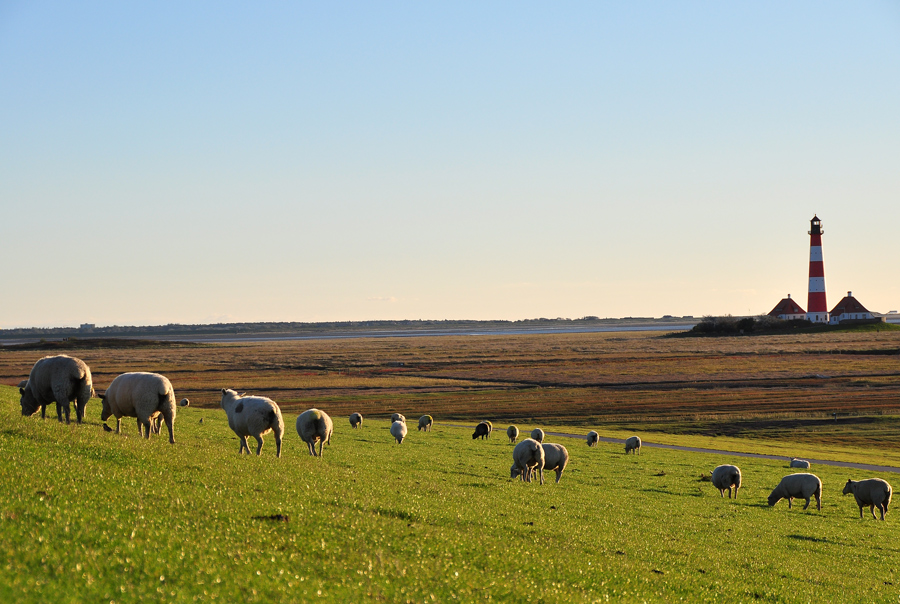 westerhever - Test Schwenkdisplay