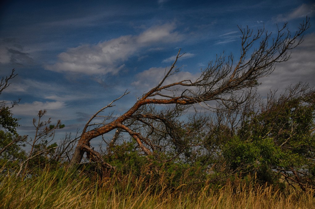 Weststrand
