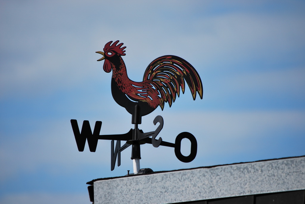 wetterhahn