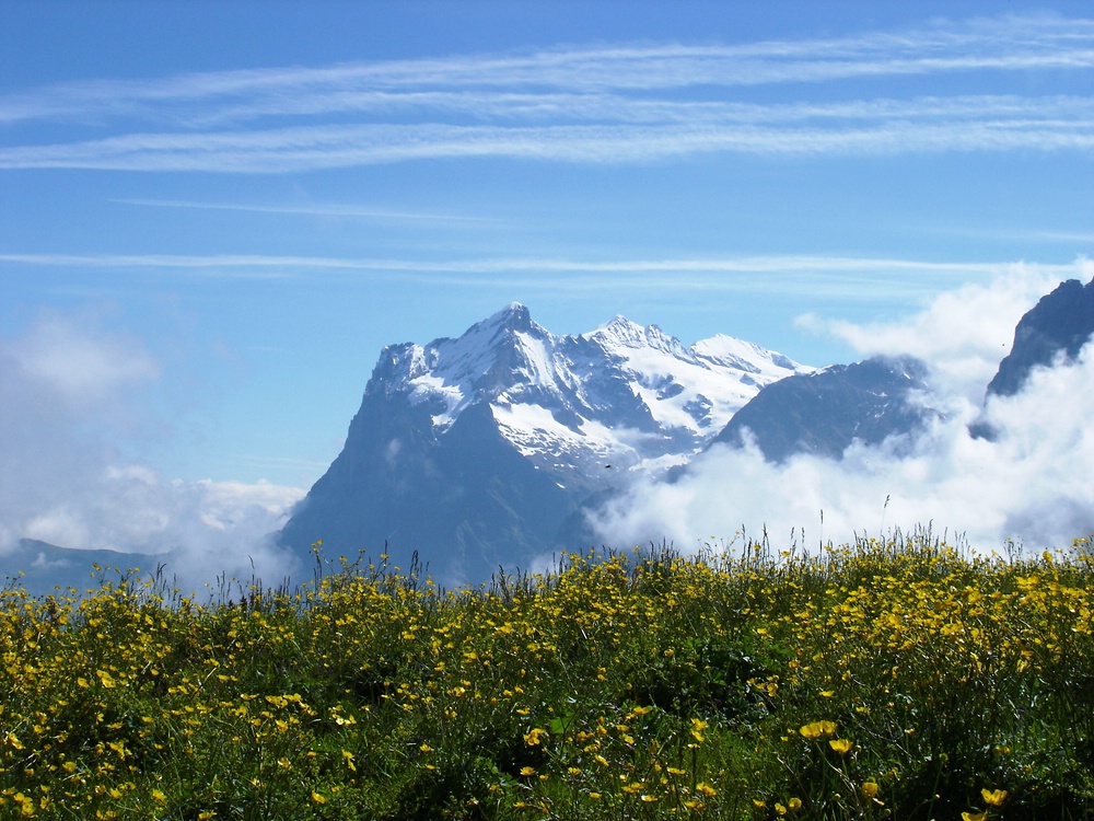 Wetterhorn