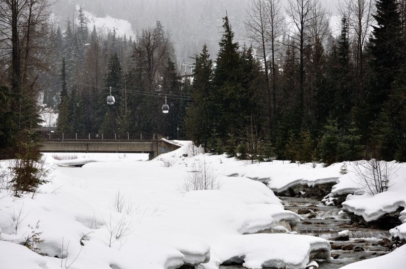Whistler im Ort