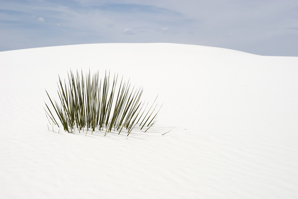 White Sands Nationalpark (New Mexico)