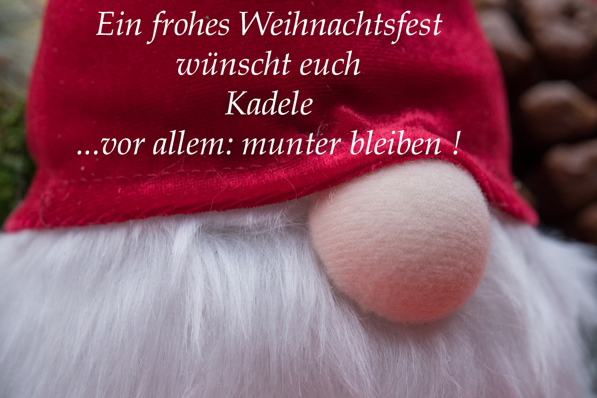 Wichtel 2 (1 von 1).JPG