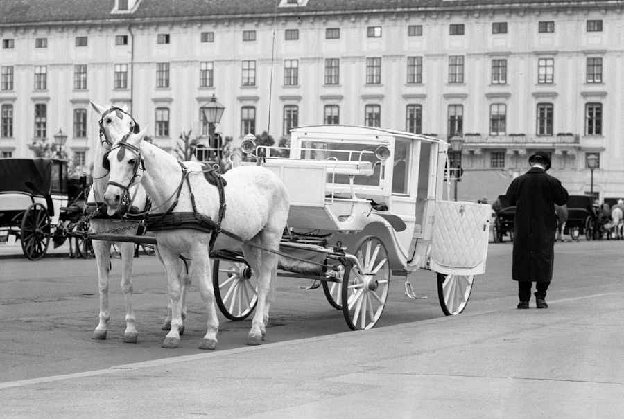 Wien 0039 900