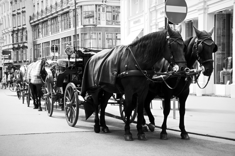 Wien