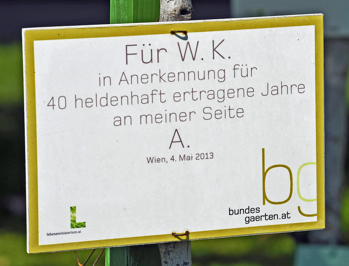 wien_volksgarten_1.jpg