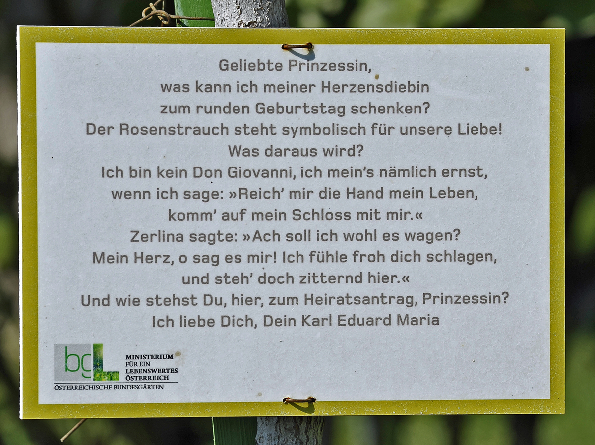 wien_volksgarten_2.jpg
