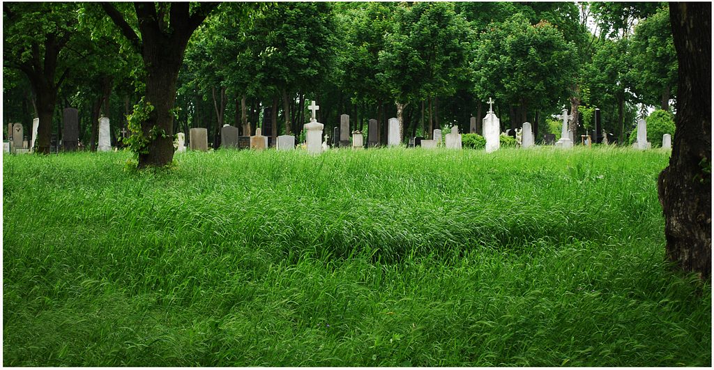 Wiener Zentralfriedhof