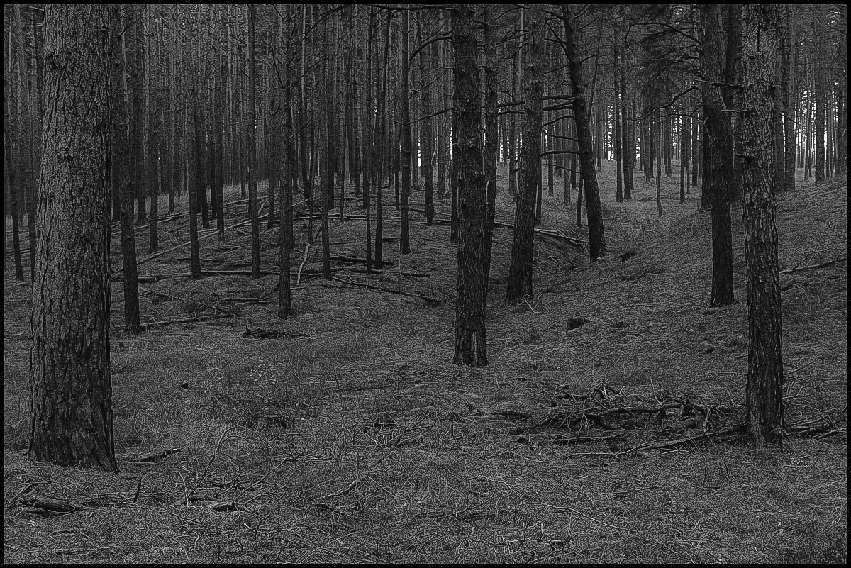 Wierener Berge (1 von 1).JPG