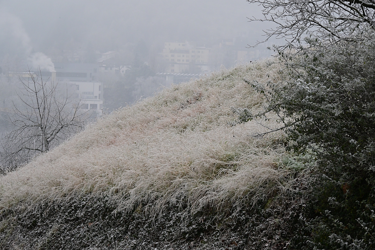 Wiese mit Puderzucker.jpg