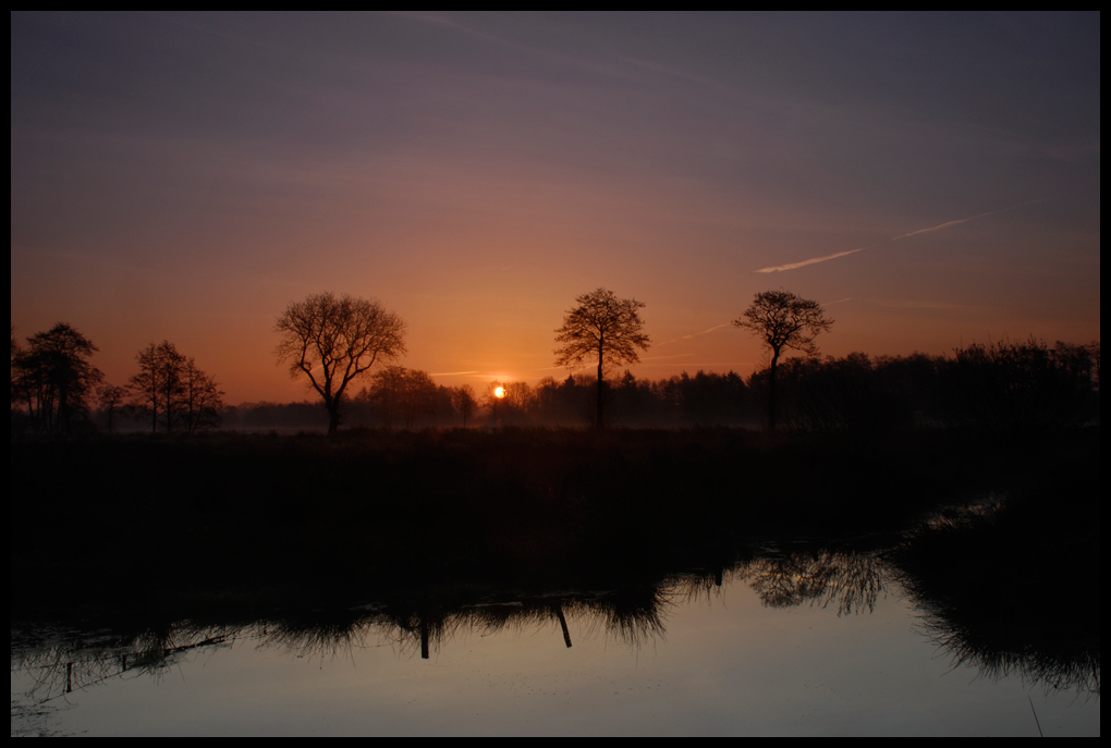 Wiesenteich im Sonnenaufgang