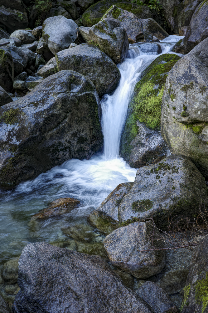 Wildbach bei Ossana, Trentino