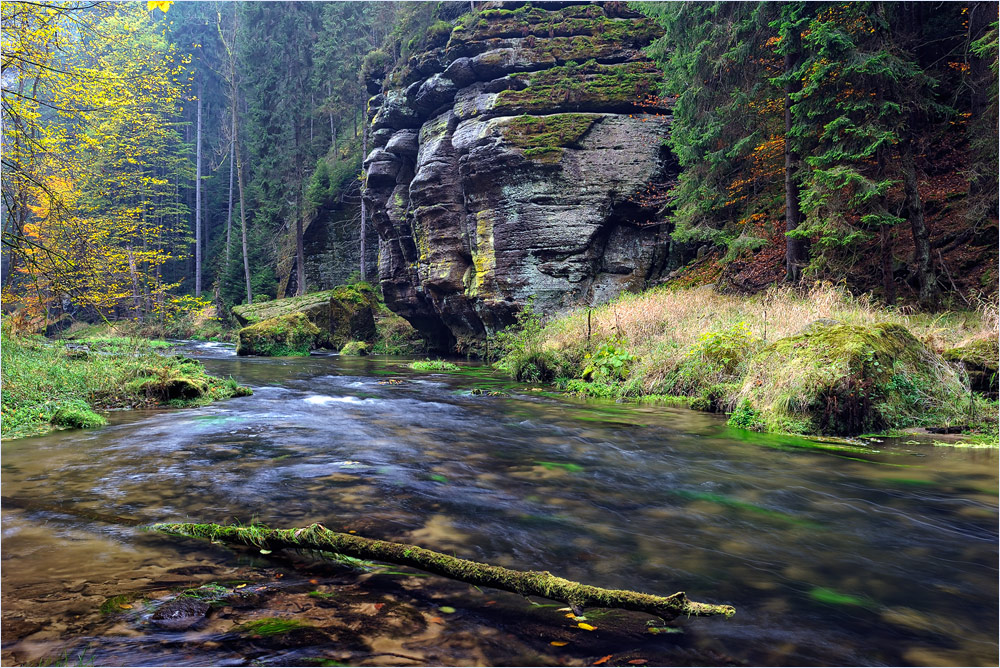 Wilde Klamm