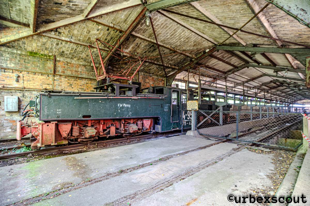 Wilder Osten 2026-Plessa-hdr-RAW (1 von 1)-19-web.jpg