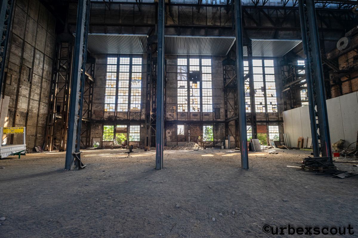 Wilder Osten 2026-Plessa-hdr-RAW (1 von 1)-2-web.jpg