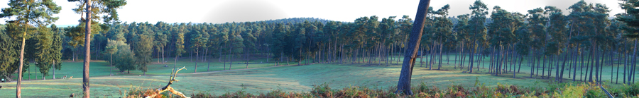Wildpark Granat klein