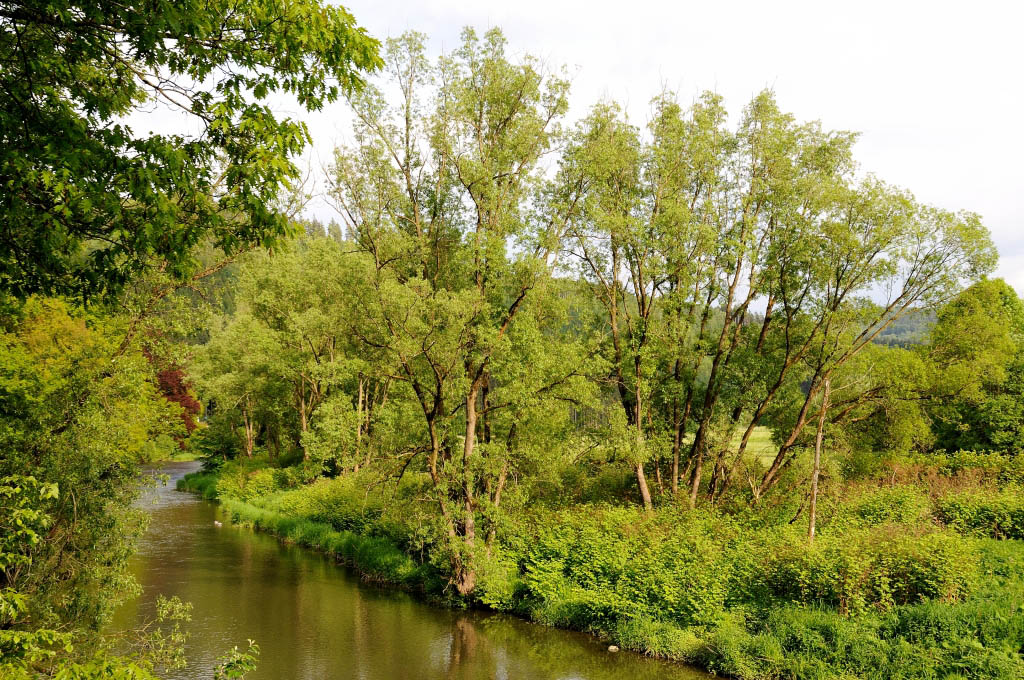 Wildshausen DSC 1353 11533 01