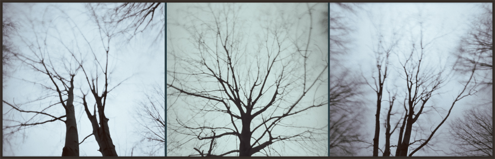 wind