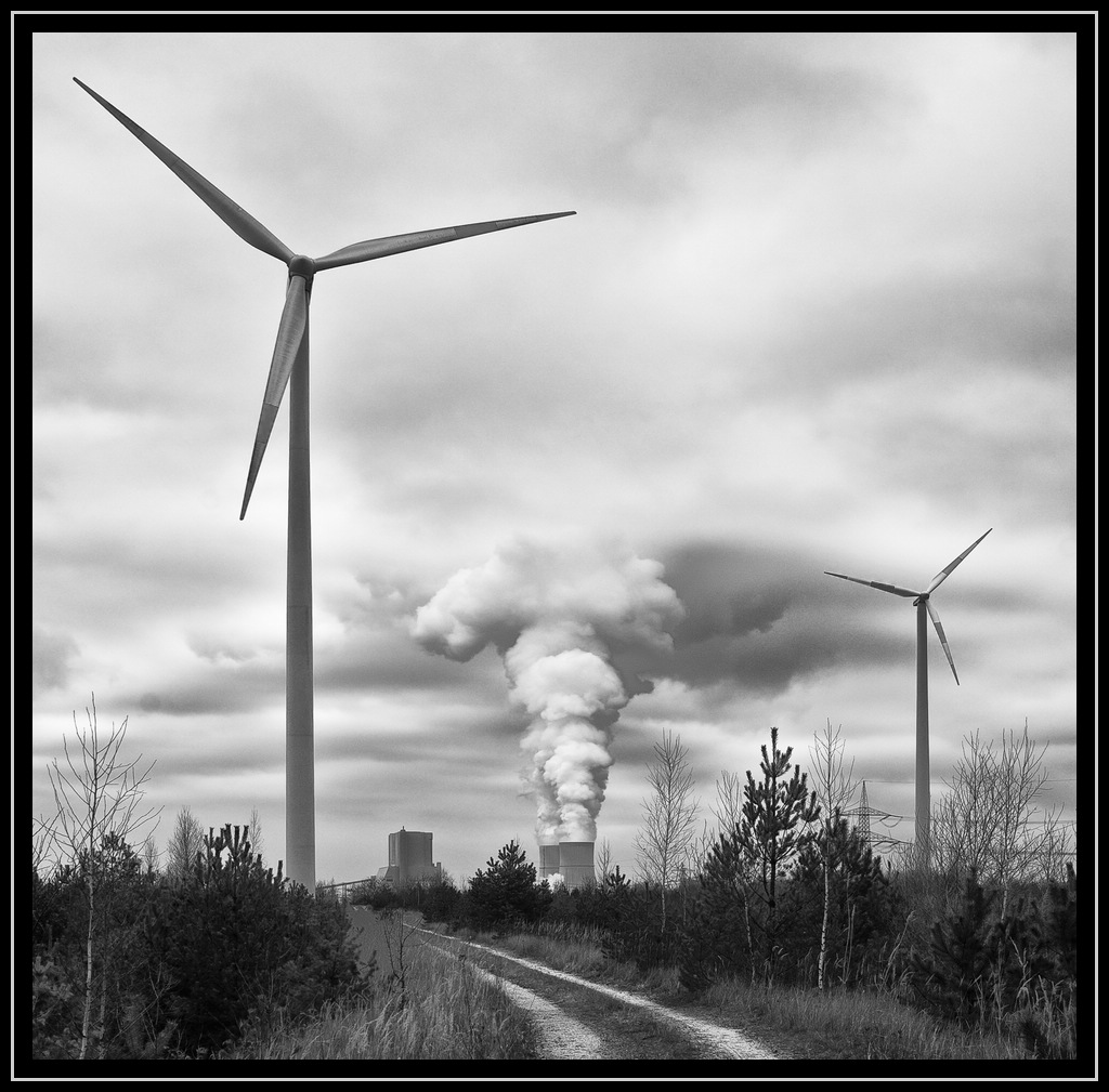 Windkraft contra Braunkohle