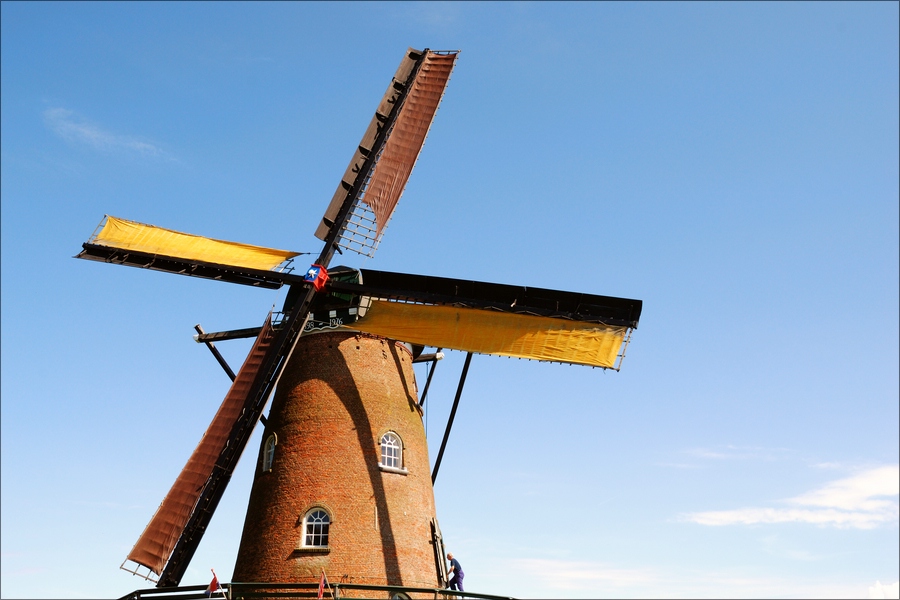 Windmühle Cadzand 01