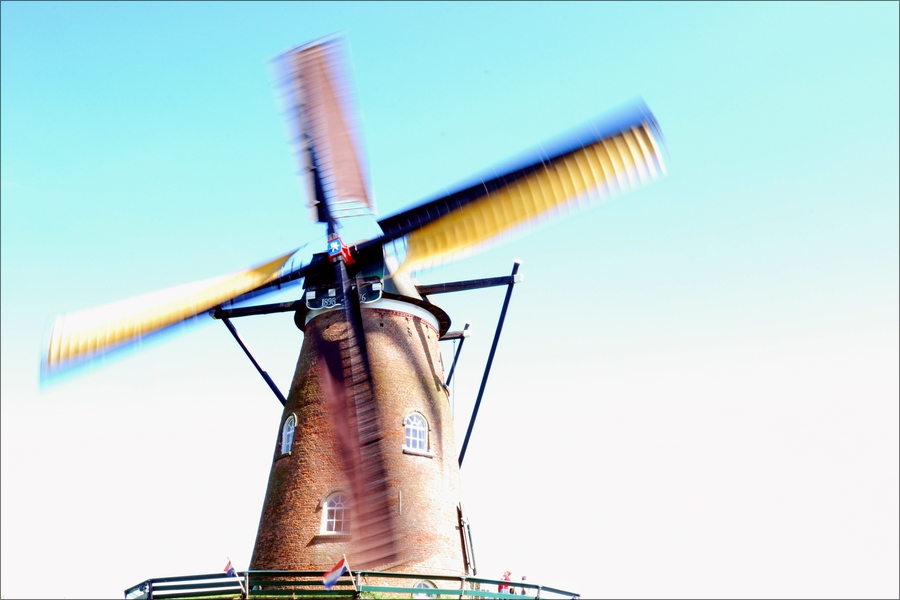 Windmühle Cadzand 02