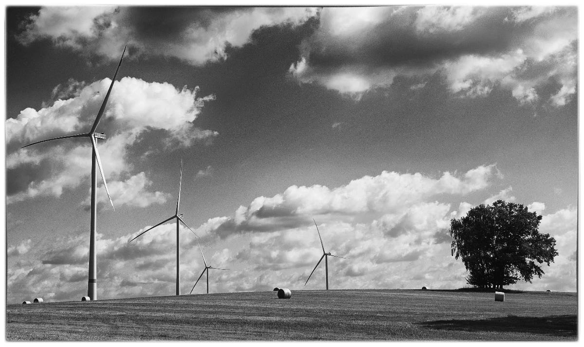Windpark 1_BW.jpg