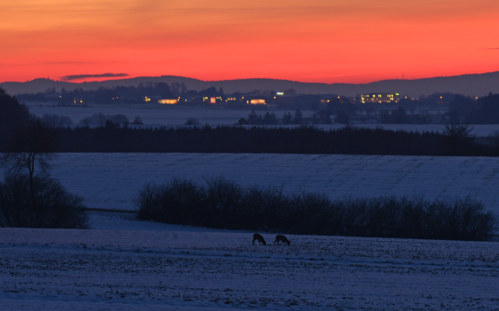 Windräder Hunsrück Januar 2015 039ak