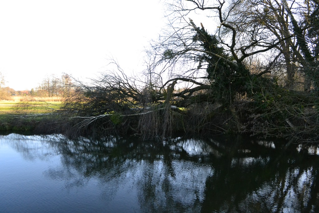 Windschaden