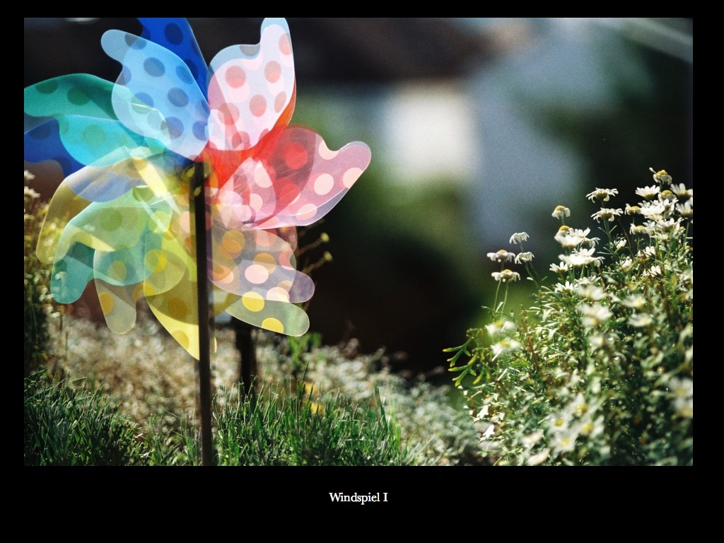 Windspiel.002
