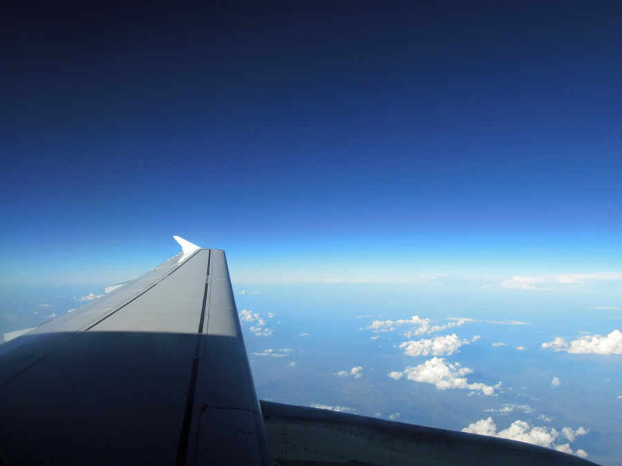 Wing