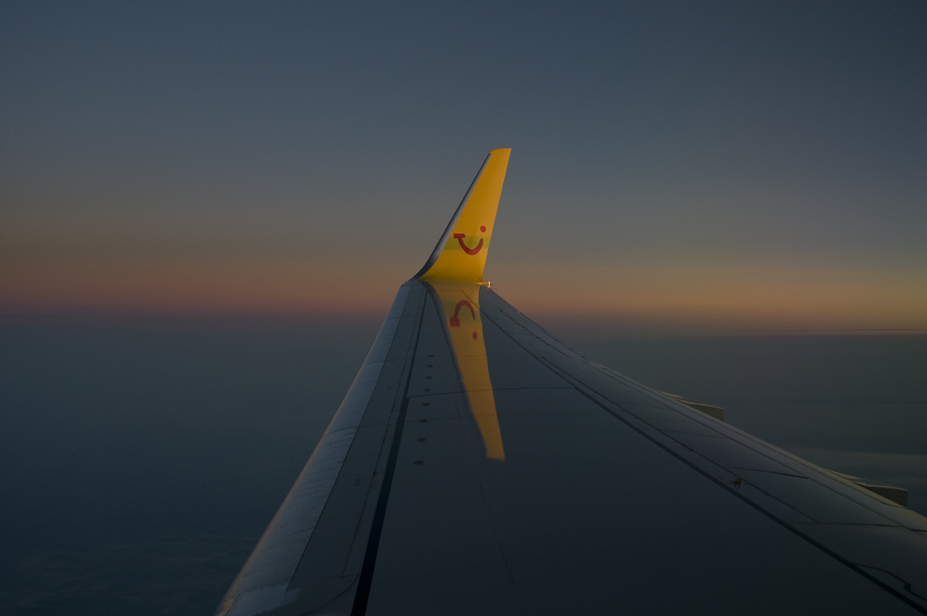 wing2