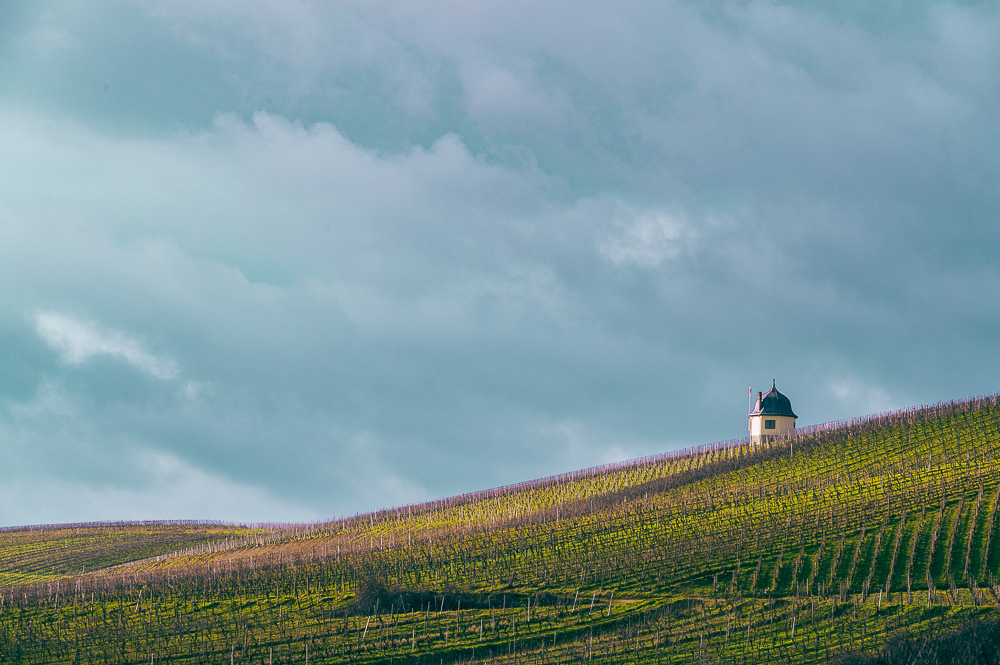 Wingertshäuschen im Rheingau