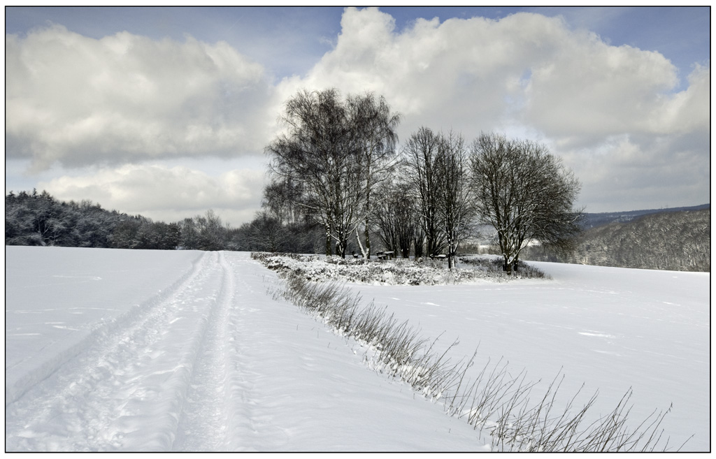 winter 01