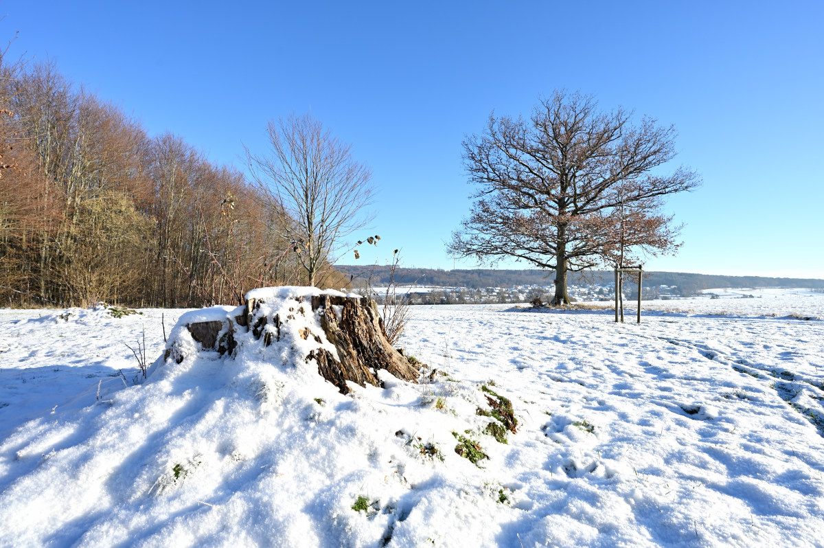 Winter-02.JPG