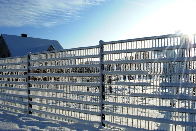 winter 035