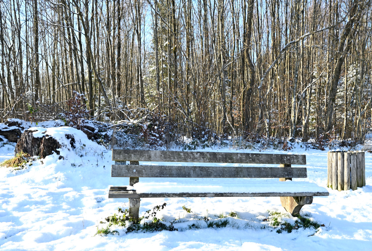 Winter-05.JPG