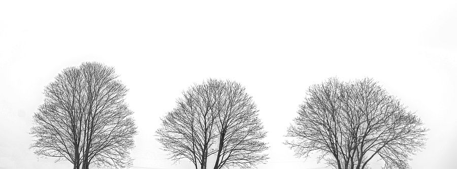 Winter 05
