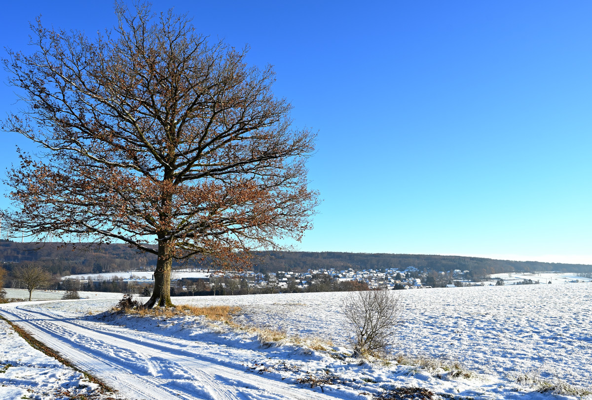Winter-06.JPG